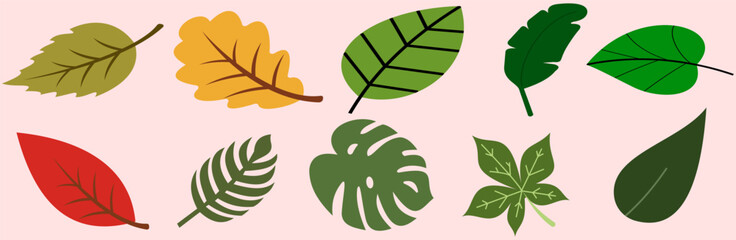 Assorted cartoon leaves in various shapes and colors arranged on a light pink background illustration