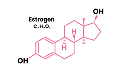 Chemical formula of estrogen molecular structure, line art design element. Vector formula of progesterone, menstrual cycle, pregnancy, and embryogenesis hormone chemical molecular formula.