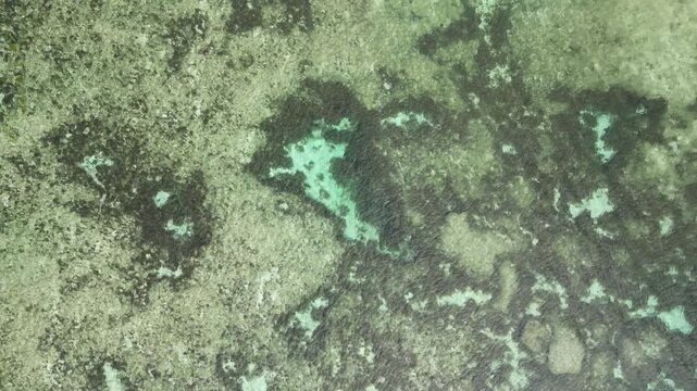 Aerial view of the ocean floor with a textured seascape, showing dark and light patterns in shallow water, Siargao, Caraga, Philippines.