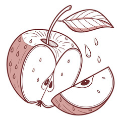 Illustration of a sliced apple with a leaf and water droplets in a simple outlined style drawing