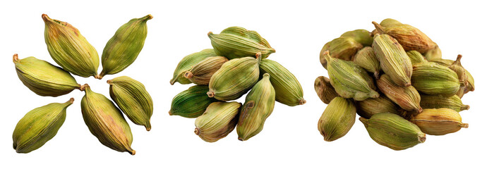 Set of spice, green cardamom, isolated on a transparent background.