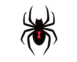 Black widow spider with red hourglass
