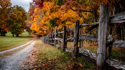 Naklejka premium Autumn Path by the Rustic Wooden Fence with Vibrant Fall Foliage