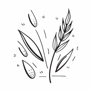 Hand drawn illustration of wheat plant isolated on