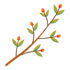 Illustration of a branch with leaves and berries isolated on