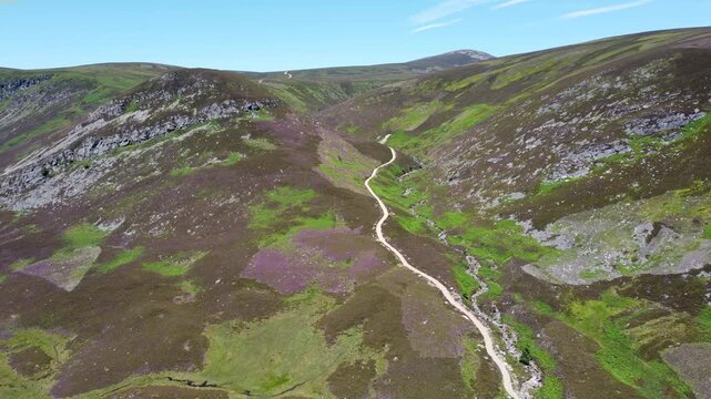 Aerial view of pathway winding through the rolling hills, where textures of green and purple vegetation meet the rugged terrain, Brechin, Scotland, United Kingdom.