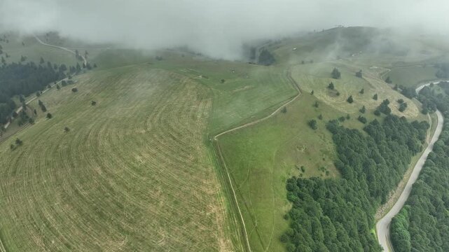 Aerial view of Route des Cretes showcasing the lush green landscape, winding roads, and contrasting textures under a cloudy sky, Fellering, Grand Est, France.