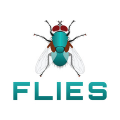 Fly logo. Flies icon. Flat design illustration