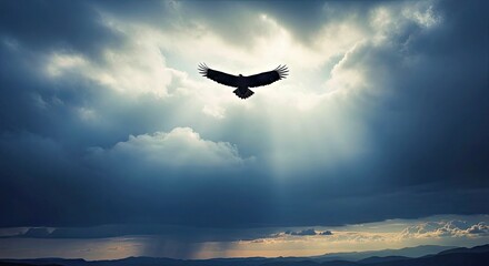 Fototapeta premium Bird Flying Through Dramatic Clouds With Sunlight Breaking Through