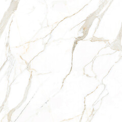 ceramic wall and floor tiles white