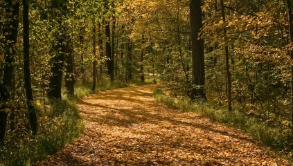 Obraz premium A forest path carpeted with yellow and orange autumn leaves, with dappled sunlight filtering through the trees. A tranquil, seasonal landscape for a peaceful nature walk. 