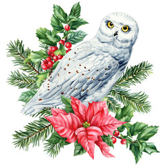 Watercolor snowy owl with poinsettia holly berries evergreen branches winter design floral holiday illustration
