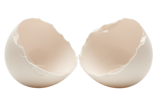 Empty cracked chicken eggshell split into two halves isolated on a transparent background