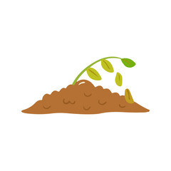 Young Sprout Growing from Seed in the Soil