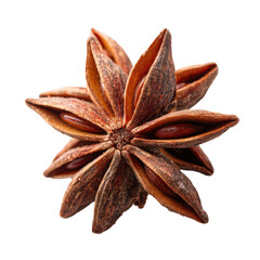 A single star anise spice pod with visible seeds against a black background