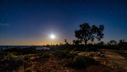 Obraz premium Starry nightscape with a bright moon illuminating a rugged coastline, sparse vegetation, and red dirt path