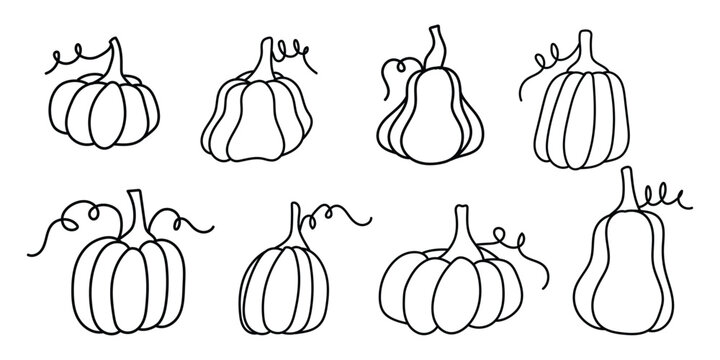Hand drawn pumpkins in a seamless pattern for autumn and Halloween designs ideas