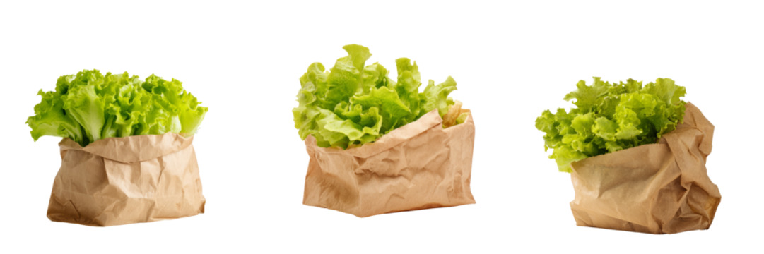 Fresh green lettuce in paper bags on transparent background food photography natural style