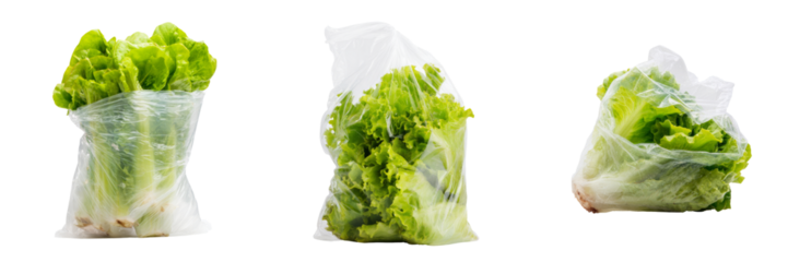 Fresh lettuce in plastic wrap with transparent background white for food photography
