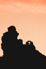 vertical photo of two lovers against a sunset background