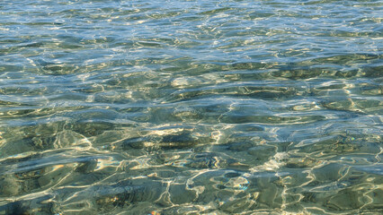 Sun-Kissed Sea Surface Shimmering Reflections on Clear Water, Aquatic Tranquility and Beauty