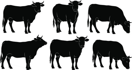 Cow silhouette collection featuring grazing and standing cattle poses, detailed farm animal vector artwork perfect for agriculture, livestock, dairy and rural design themes