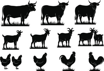 Silhouette collection of farm animals, cows goats chickens roosters on grass, livestock illustration set, agriculture graphic elements for rural design