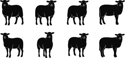 Sheep silhouette illustrations, farm animal graphic design, standing sheep poses, livestock artwork for agriculture branding, rural farming vector collection