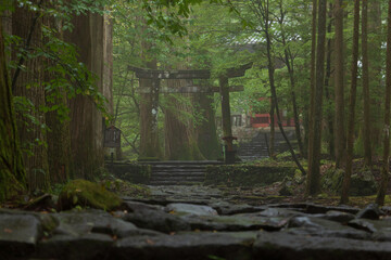 神社の参道