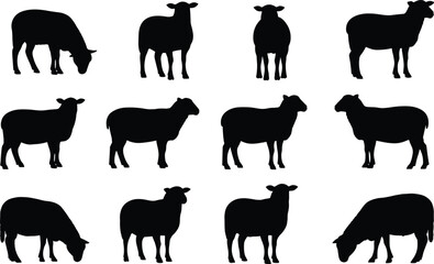 Black sheep silhouettes collection, isolated livestock animal shapes, farm animal graphic set, vector sheep icons for agriculture design use