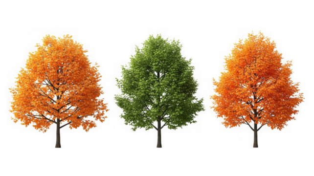 Three vibrant trees, autumn orange and lush green, isolated. isolated on transparent background