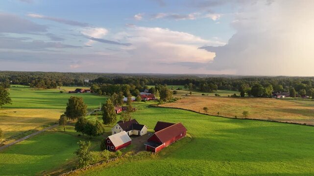 Aerial view of red wooden houses punctuate the vibrant green and golden fields, contrasting against the dense forest backdrop, Vittsjo, Skane County, Sweden.