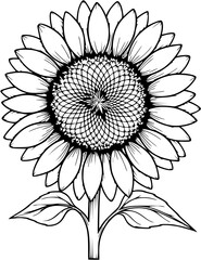A black and white sunflower illustration isolated on white background
