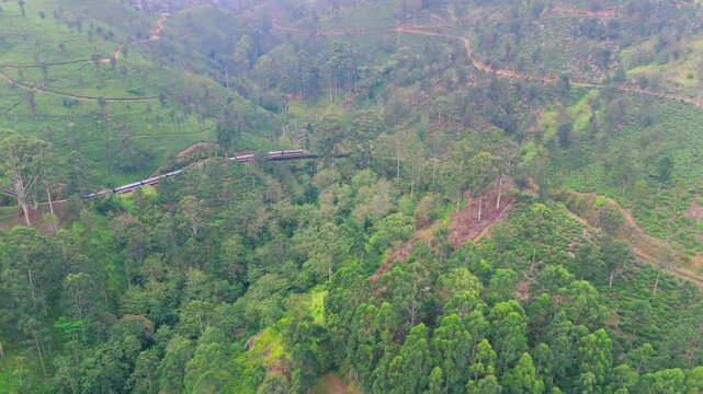 Drone Tracking Right Over Mountain Train Through Trees and Tea Estate to Iron Bridge