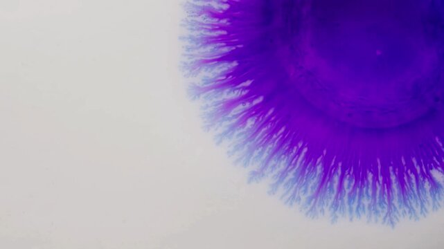 A purple ink drop spreading on a white surface creating a radial pattern with feathery edges