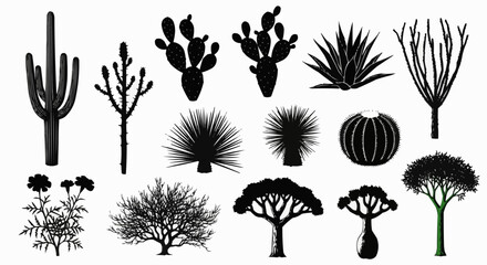Silhouette collection of various desert plants and trees isolated on white. © Meii