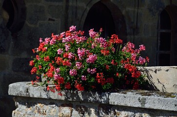 Flores junto a la iglesia de Argol, Finisterre, Bretaña, Francia