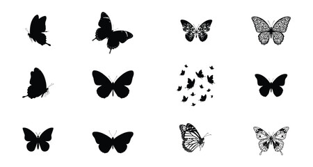 Assorted butterfly silhouettes and patterns on a white background for design elements