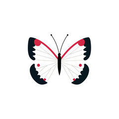 Elegant Butterfly Illustration Modern Design Element
