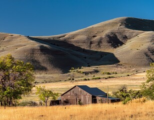 isolated idaho quarter