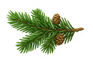Pine tree branch with two pinecones on transparent background, symbolizing nature, winter, and christmas holidays