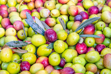 Detailed photographs of freshly harvested green and red olives in baskets