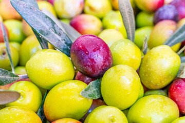Detailed photographs of freshly harvested green and red olives in baskets