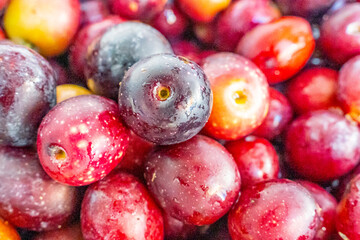 Detailed photographs of freshly harvested red olives in baskets