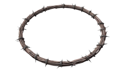 Metal Circle of Sharp Barbed Wire on a Transparent Background for Design Use