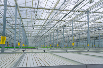This large greenhouse contains rows of growing beds, designed for hydroponic farming. It focuses on the cultivation of lettuce, ensuring optimal conditions for commercial vegetable production