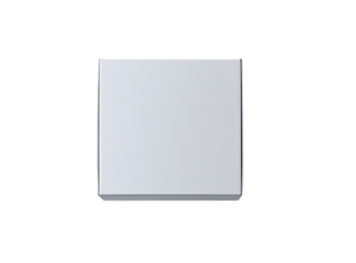 Square, light gray, blank electronic switch