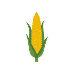 Vibrant Corn on the Cob Graphic for Food and Agriculture