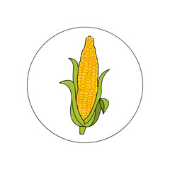 Vibrant Corn on the Cob Within Circle Design