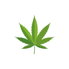 Vibrant Green Cannabis Leaf on White Background
